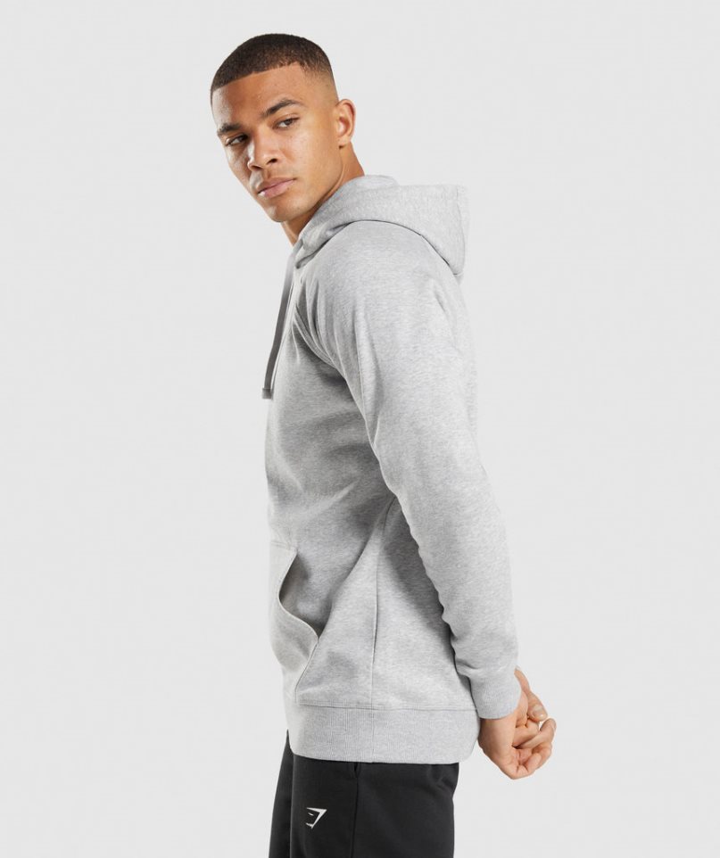 Men's Gymshark Crest Hoodie Light Grey | CA 5A6N70